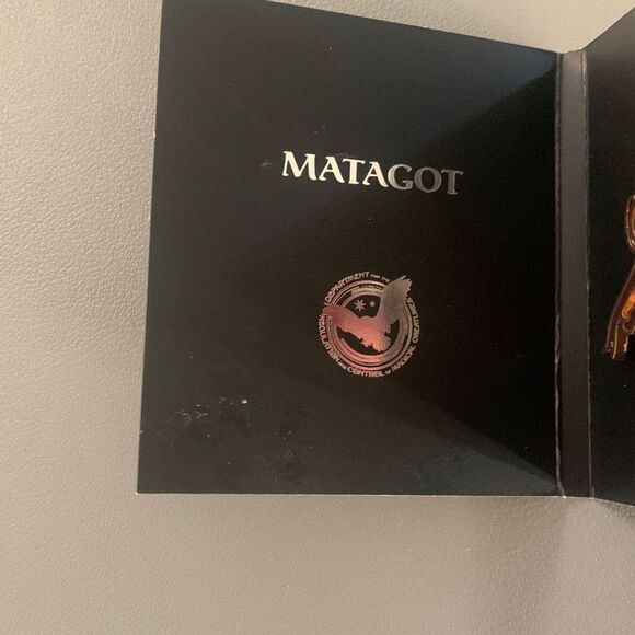 Harry Potter Matagot Pin - Picture 2 of 4